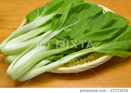 Vegetable Komatsuna 23733078