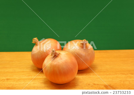 蔬菜洋蔥 23733233