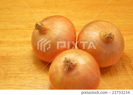 蔬菜洋蔥 蔬菜洋蔥 23733234