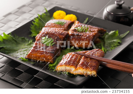 鰻魚烤雞飼養 23734155