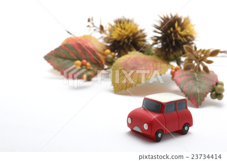 Leaves of car and autumn leaves and chestnut autumn exercise image Leaves of car and autumn leaves and chestnut autumn exercise image 23734414
