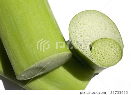 Hermes potato 23735433