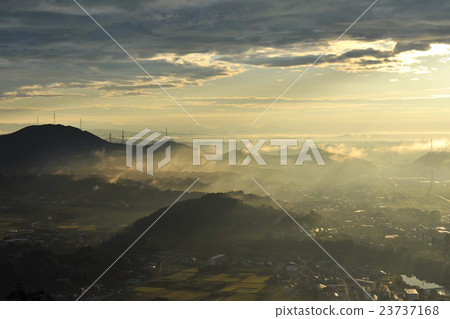 Morning sun in light mist 23737168