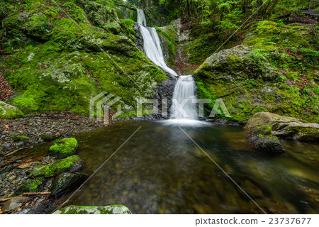 Mitsukunano Fall（奧多摩） 23737677