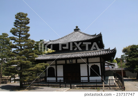 Myoshinji寺 Myoshinji寺 23737747