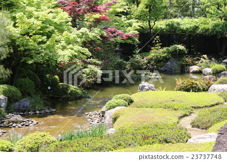 揮之不去的氣味花園 揮之不去的氣味花園 23737748