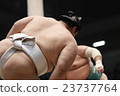 Sumo wrestling 23737764
