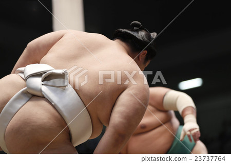Sumo wrestling Sumo wrestling 23737764