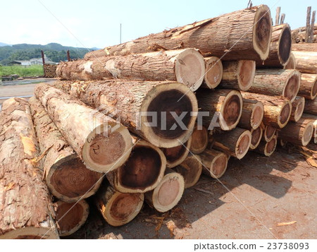 Stacked log 1 23738093