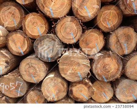 Stacked log 2 23738094