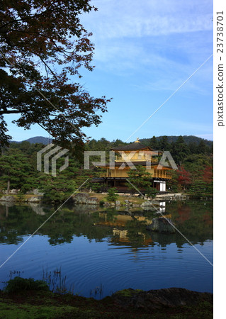 Autumn leaves of Kinkakuji 23738701