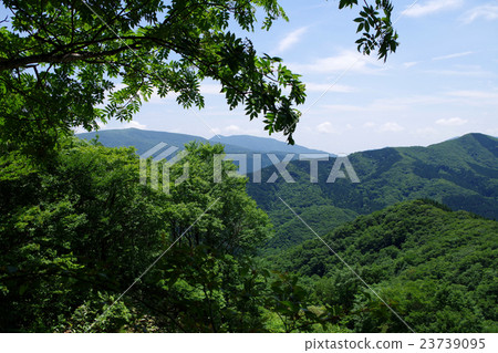 Staged wig of Azumayama pond as seen from the monkeyan mountain climbing path 23739095