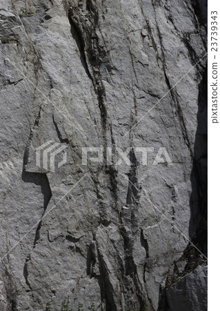 粗糙的皮膚 粗糙的皮膚 23739343