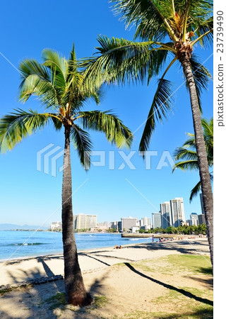 Holidays in Hawaii Holidays in Hawaii 23739490