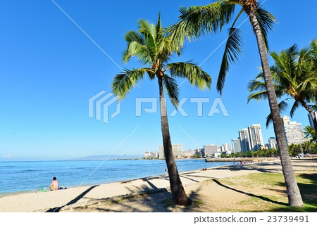 Holidays in Hawaii Holidays in Hawaii 23739491