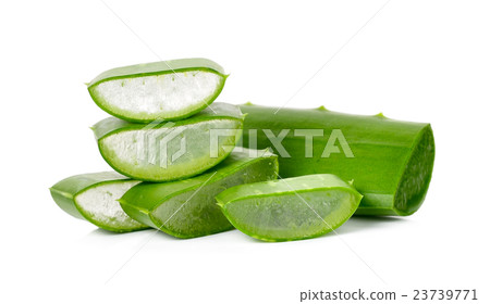 aloe vera leaf isolated on the white background 23739771