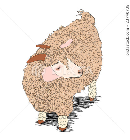 Brown sheep. Brown sheep. 23740738