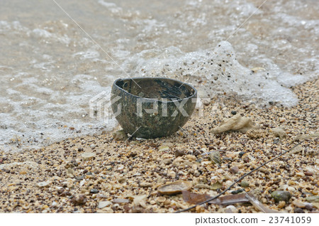 old coconut empty shell on the beach old coconut empty shell on the beach 23741059
