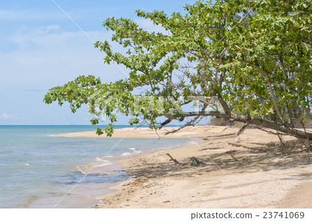 beautiful beaches in Thailand beautiful beaches in Thailand 23741069