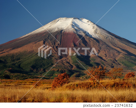 Fuji of autumn color Pearlkahara 23741632