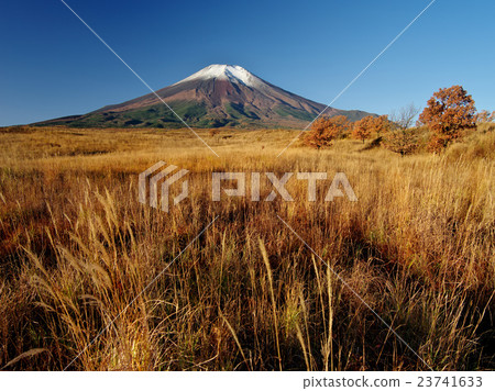 Fuji of autumn color Pearlkahara Fuji of autumn color Pearlkahara 23741633