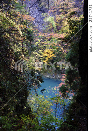 秋葉Tazawako斜倚的縣立自然公園“隱藏的山谷”在兩岸的原始森林中，山谷的美麗翠綠色閃耀 23741721