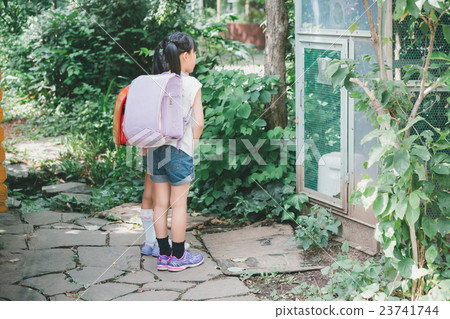 elementary student, primary school child, primary school student 23741744