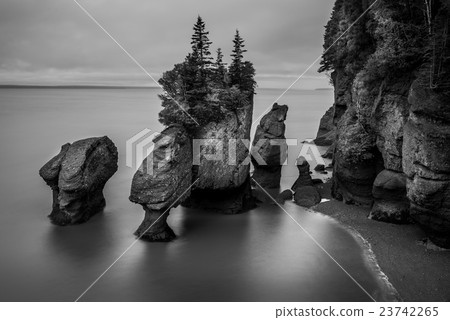 Hopewell Rocks 23742265