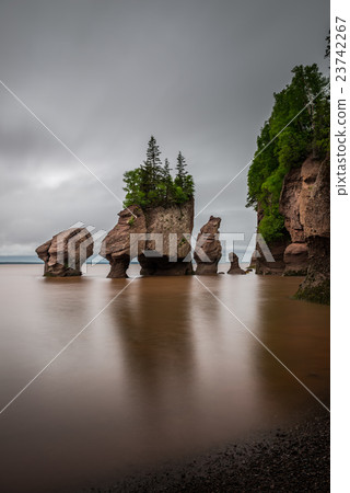 Hopewell Rocks 23742267
