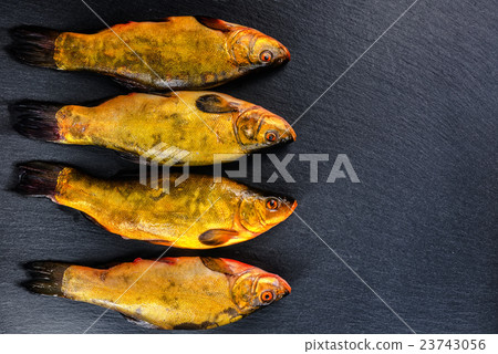 flat lay of fresh tench fish on slate background flat lay of fresh tench fish on slate background 23743056