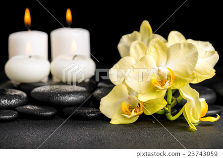 spa still life of yellow orchid phalaenopsis spa still life of yellow orchid phalaenopsis 23743059