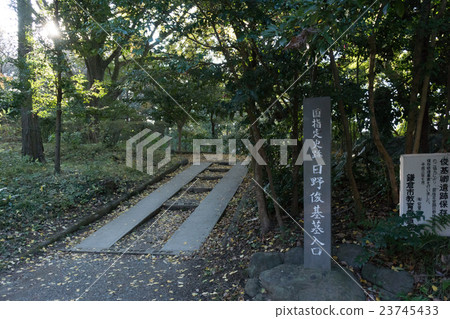 Shun Hino Hino（神奈川縣鎌倉市） 23745433