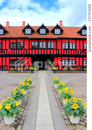 向日葵安徒生公園向日葵和社區中心(7月)船橋,千葉 向日葵安徒生公園向日葵和社區中心(7月)船橋,千葉 23745988