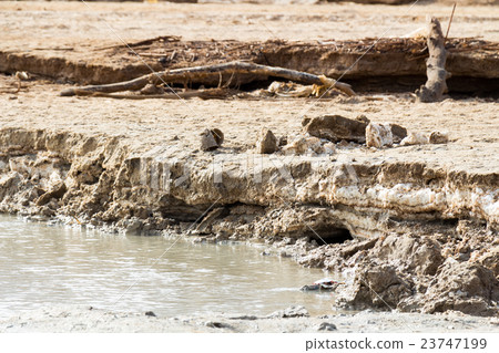 Mud and salt of the Dead Sea Mud and salt of the Dead Sea 23747199