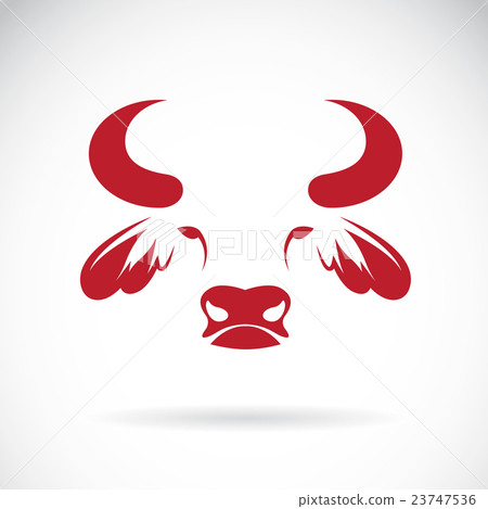 Vector of bull face design on white background. Vector of bull face design on white background. 23747536
