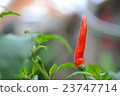 closed-up red chili pepper selective focus 23747714