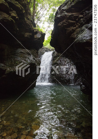 愛媛縣宇和島市Yakushi Valley Valley Iwato Waterfall 愛媛縣宇和島市Yakushi Valley Valley Iwato Waterfall 23747856