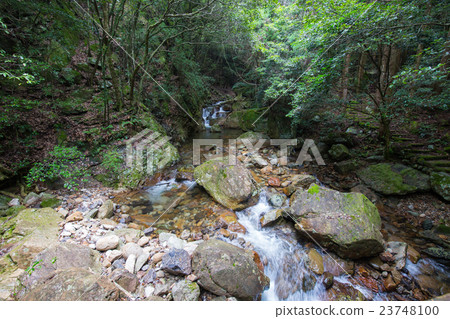 愛媛縣宇和島市Yakushi Valley Valley 愛媛縣宇和島市Yakushi Valley Valley 23748100