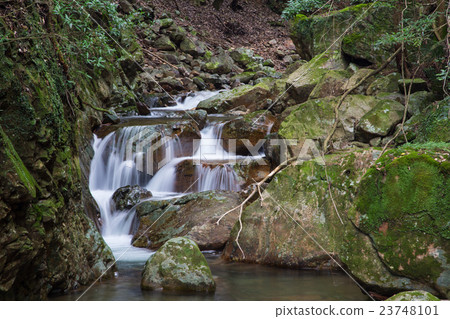 愛媛縣宇和島市Yakushi Valley Valley 23748101