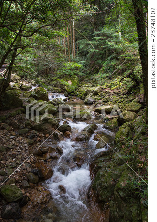 愛媛縣宇和島市Yakushi Valley Valley 愛媛縣宇和島市Yakushi Valley Valley 23748102