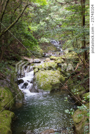 愛媛縣宇和島市Yakushi Valley Valley 愛媛縣宇和島市Yakushi Valley Valley 23748104