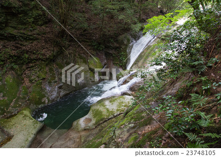 愛媛縣宇和島市Yakushi Valley Valley 愛媛縣宇和島市Yakushi Valley Valley 23748105