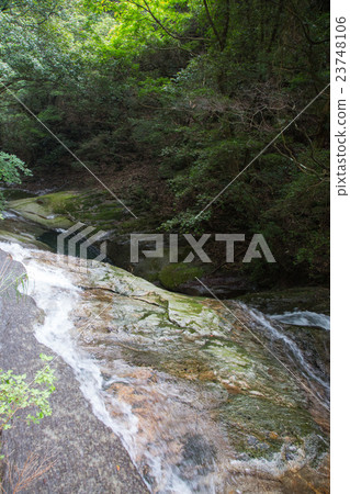 愛媛縣宇和島市Yakushi Valley Valley 愛媛縣宇和島市Yakushi Valley Valley 23748106