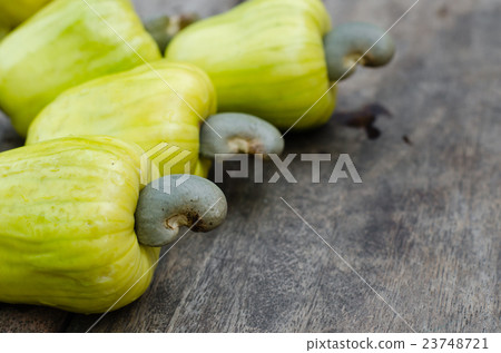 Fresh Cashew from The Natural Orchard. 23748721
