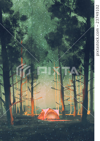 camping in forest at night camping in forest at night 23749102