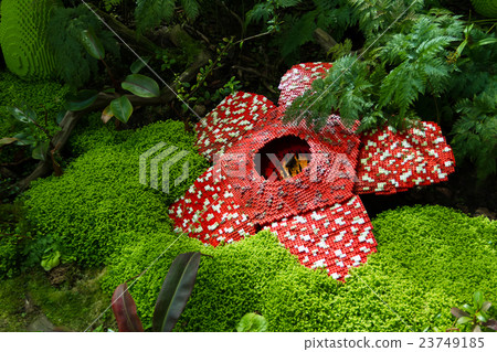 Corpse flower was made of interlocking bricks toy. 23749185