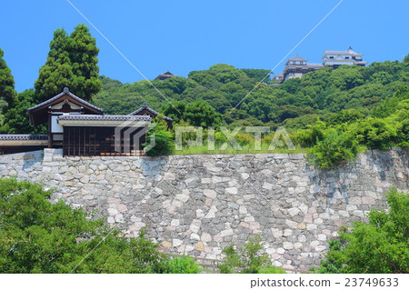 從城山公園看到的松山城 23749633