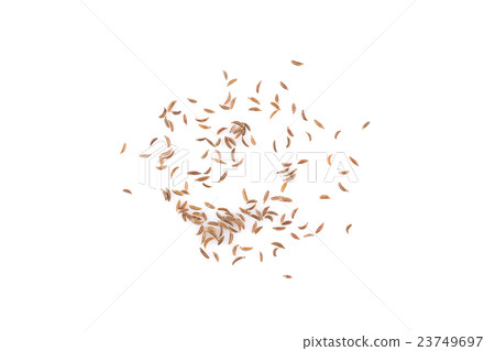 Heap of dry caraway seeds Heap of dry caraway seeds 23749697