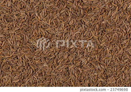 Close up caraway seeds Close up caraway seeds 23749698