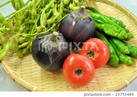 夏天京都蔬菜 23751464